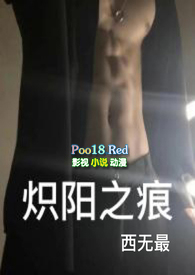 炽阳之痕小说阅读txt